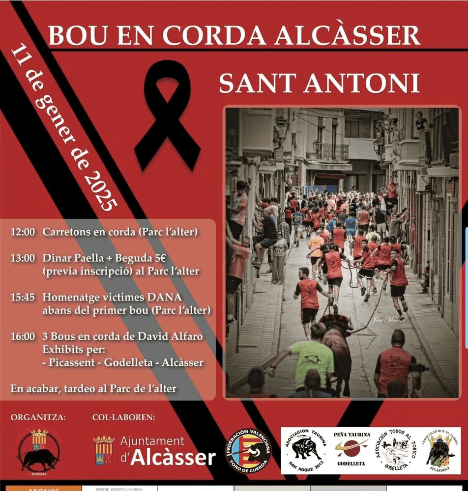 TOROS ALCÀSSER 11 ENERO 2025