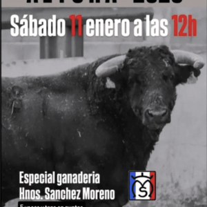 TOROS ALTURA 11 ENERO 2024