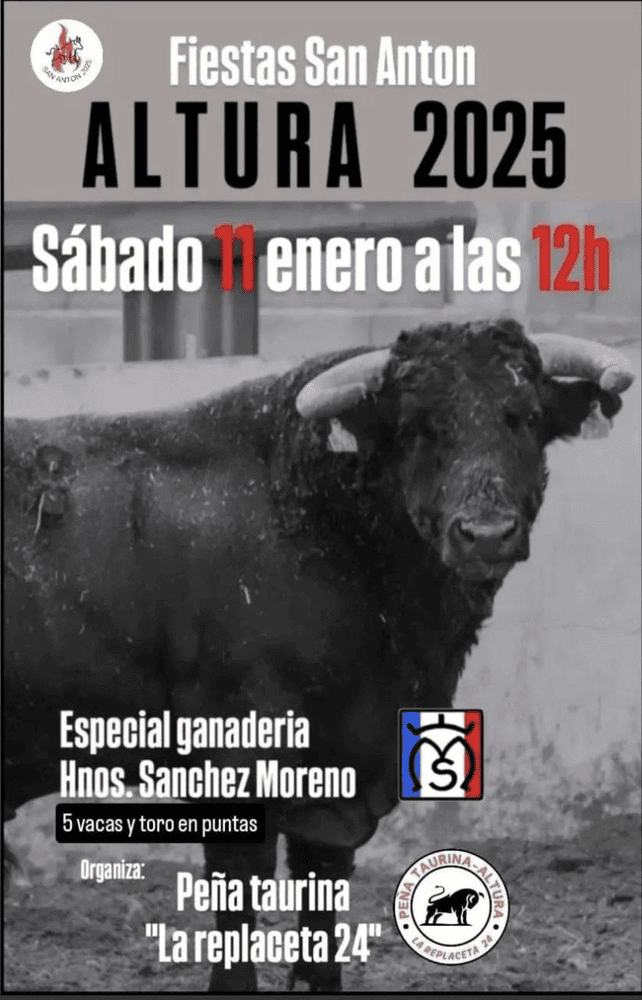 TOROS ALTURA 11 ENERO 2024