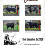 TOROS CARABAÑA 14 DICIEMBRE 2024