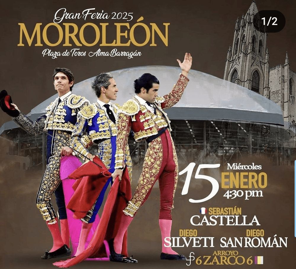 TOROS MOROLEÓN 15 ENERO 2025