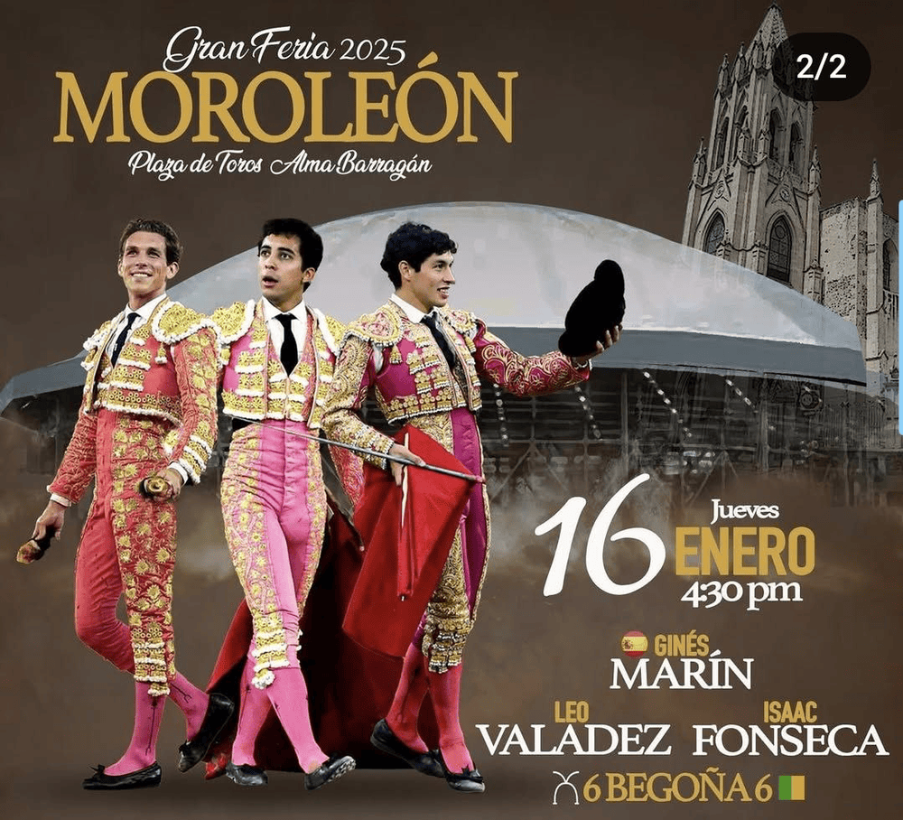 TOROS MOROLEÓN 16 ENERO 2025