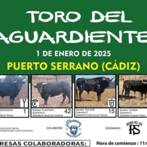 TOROS PUERTO SERRANO 1 ENERO 2025