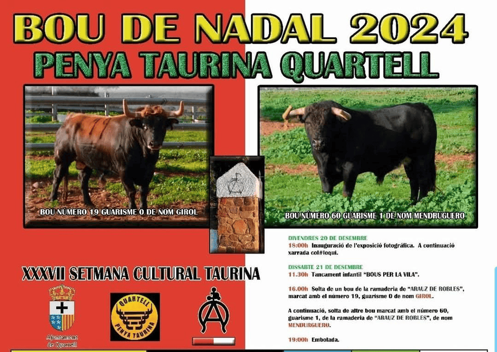 TOROS QUARTELL 21 DICIEMBRE 2024