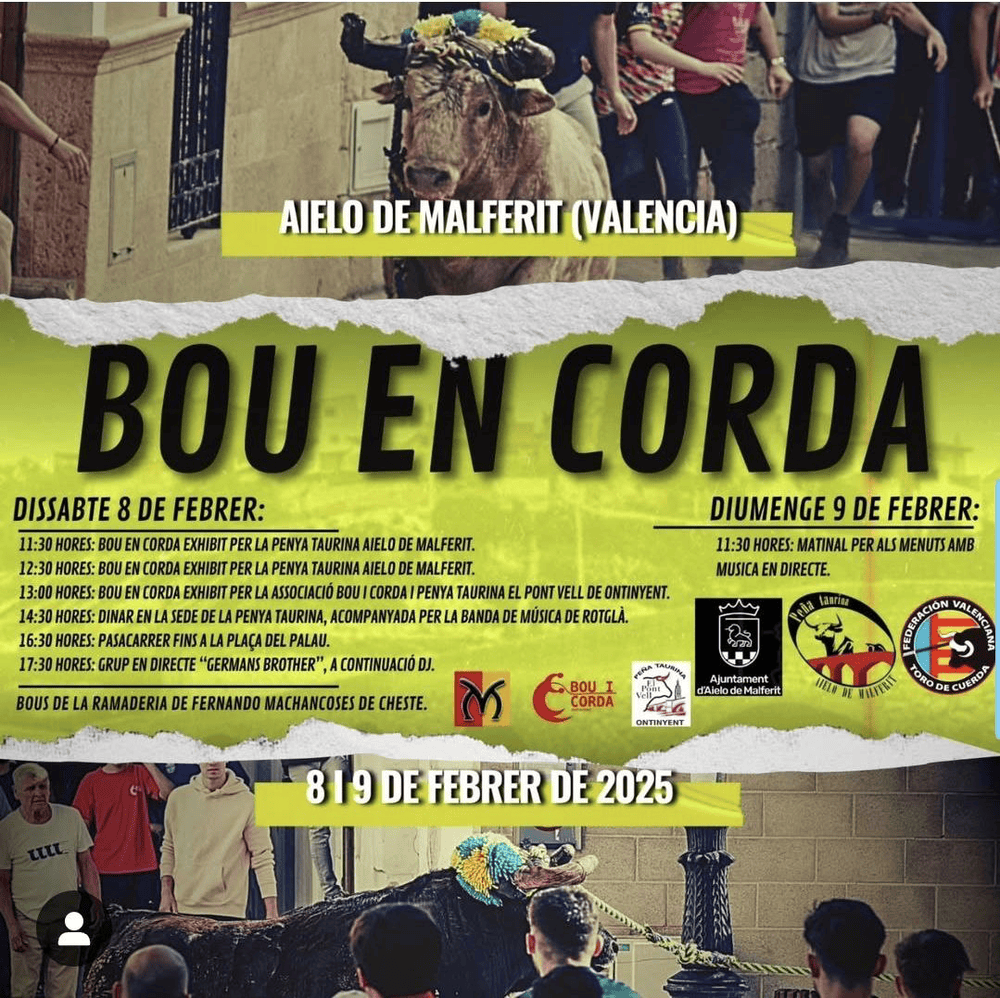 TOROS AIELO DE MALFERIT 8 Y 9 FEBRERO 2025