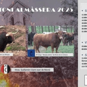 TOROS ALMÀSSERA 11 A 18 ENERO 2025