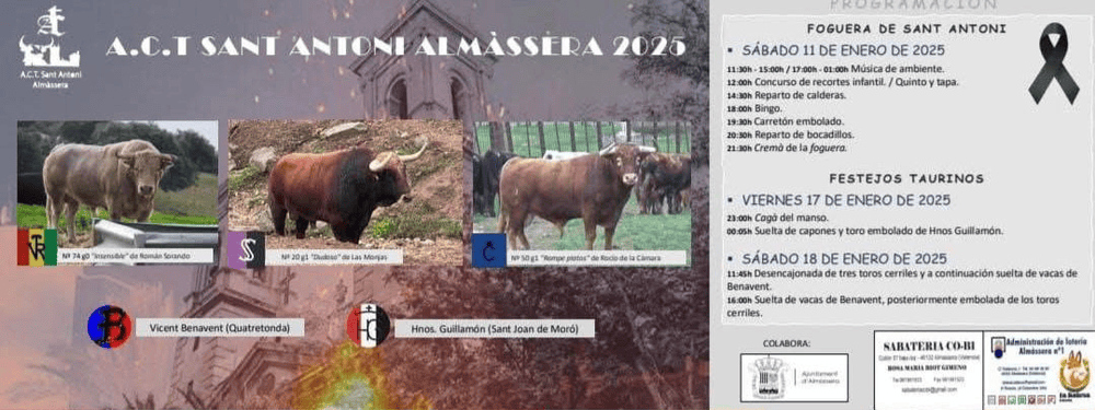 TOROS ALMÀSSERA 11 A 18 ENERO 2025