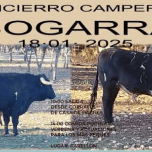 TOROS BOGARRA 18 ENERO 2025