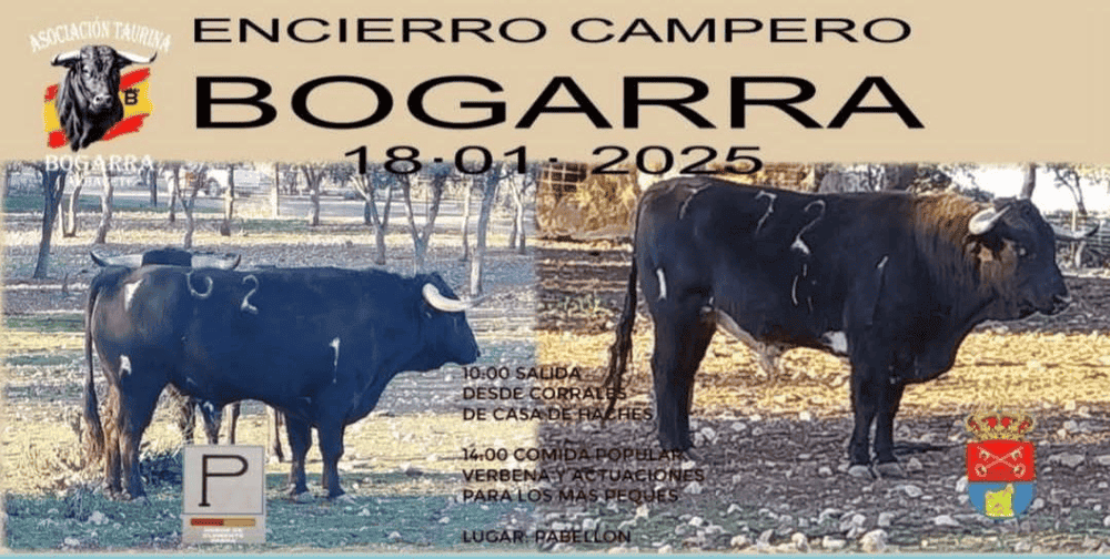 TOROS BOGARRA 18 ENERO 2025