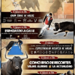 TOROS LA VALL D’UIXÓ 8 A 16 FEB 2025