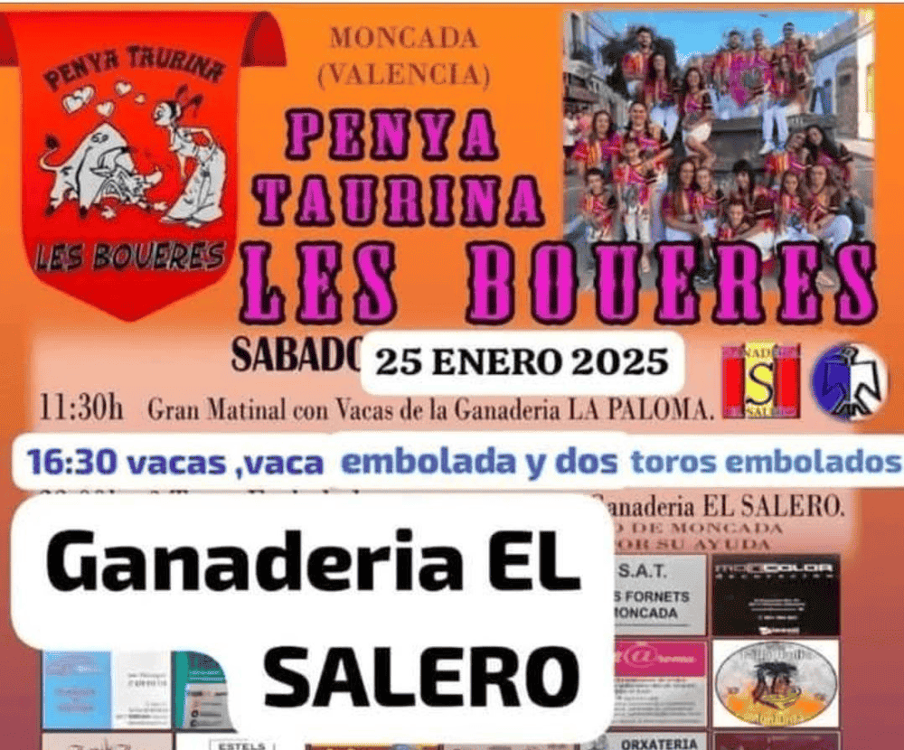 TOROS MONCADA 25 ENERO 2025