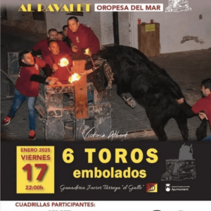 TOROS OROPESA 17 ENERO 2025