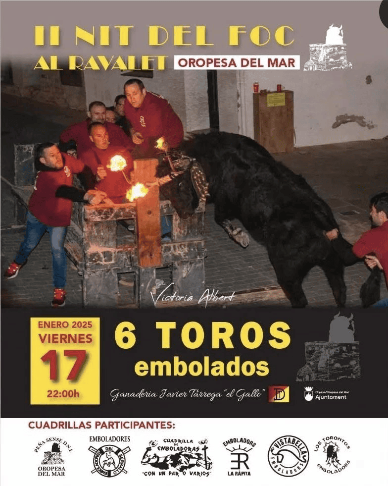 TOROS OROPESA 17 ENERO 2025