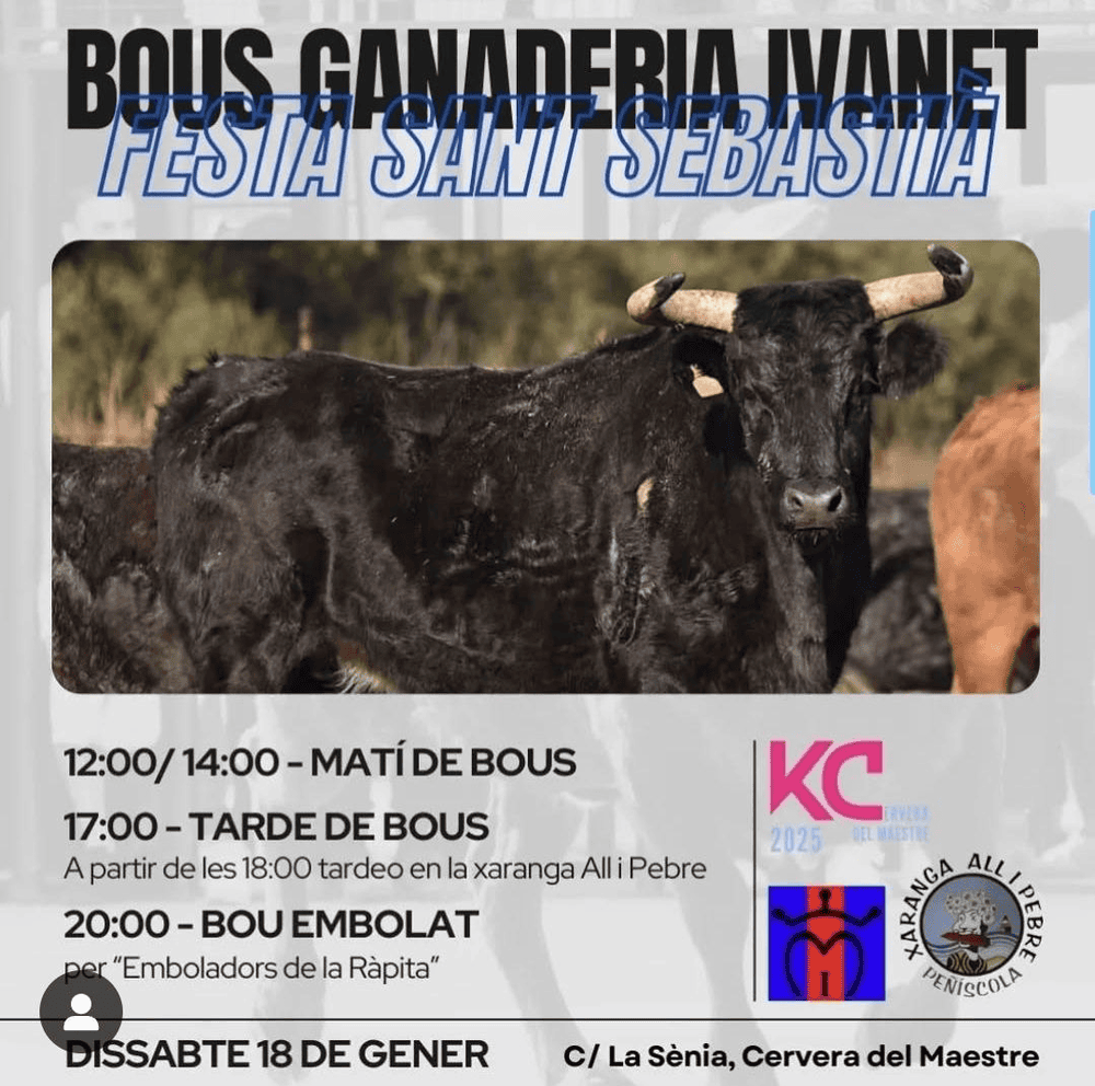 TOROS PEÑÍSCOLA 18 ENERO 2025