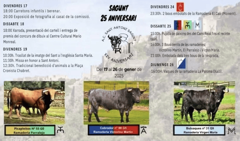 TOROS SAGUNT 24 A 26 ENERO 2025