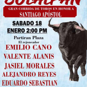 TOROS SOLALPAN 18 ENERO 2025