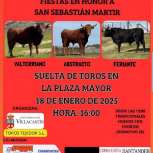 TOROS VILLACASTÍN 18 ENERO 2025