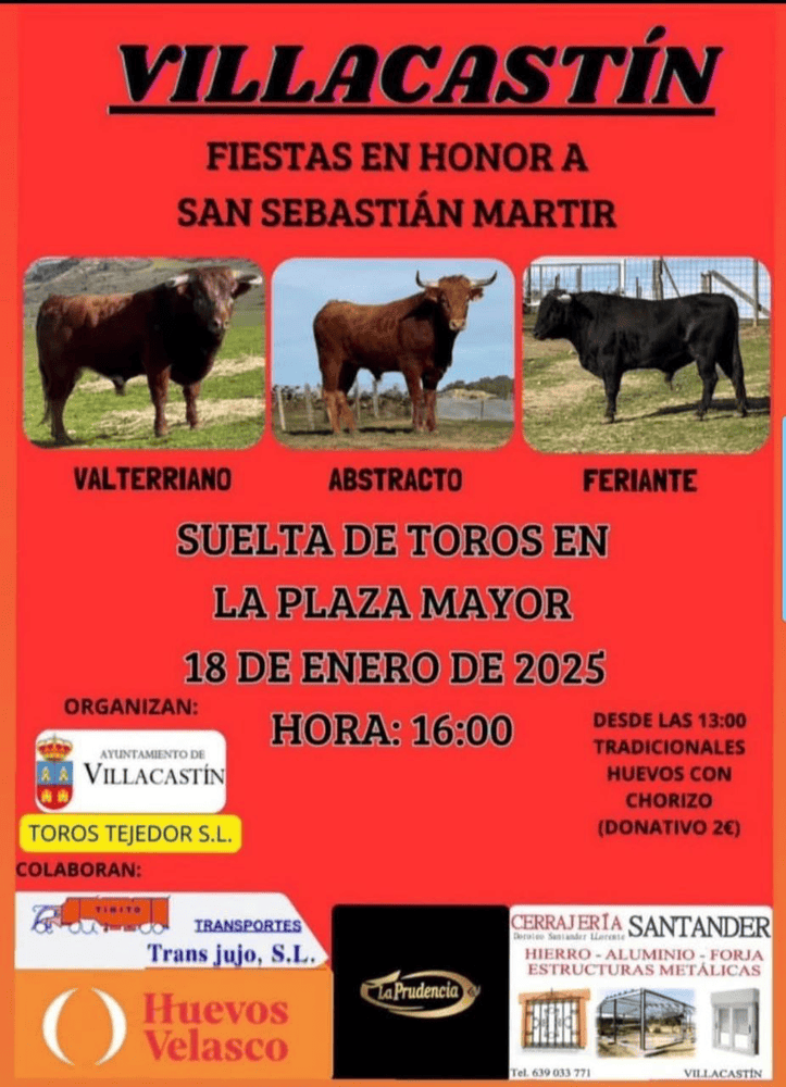 TOROS VILLACASTÍN 18 ENERO 2025