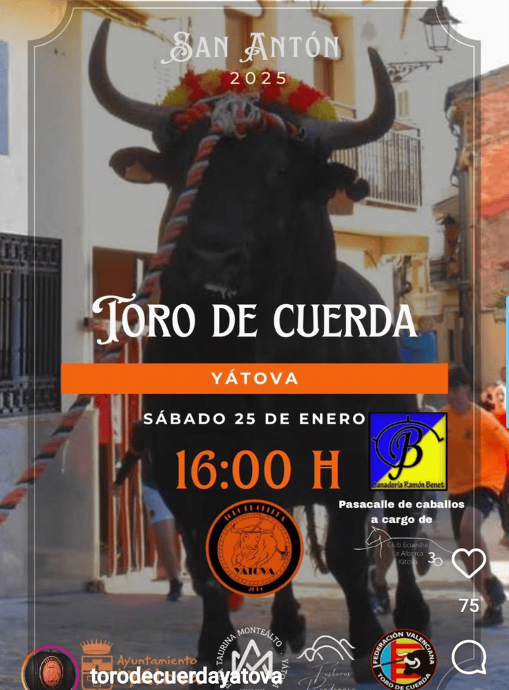 TOROS YÁTOVA 25 ENERO 2025