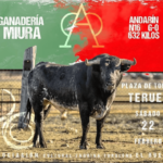 TOROS TERUEL 22 FEBRERO 2025