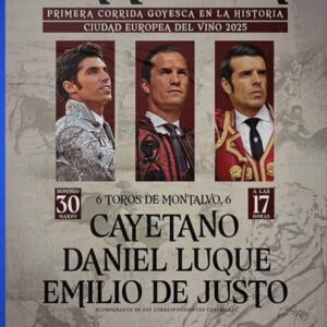 TOROS PLAZA TOROS CARIÑENA
