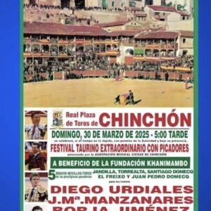 TOROS PLAZA DE ROROS CHINCHON 2025