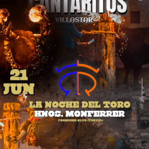 TOROS CANTARITOS 2025 VILLASTAR