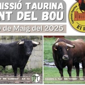 TOROS-COMSSIO-TAURINA-GENT-DEL-BOU-3-i-10-MAYO-2025