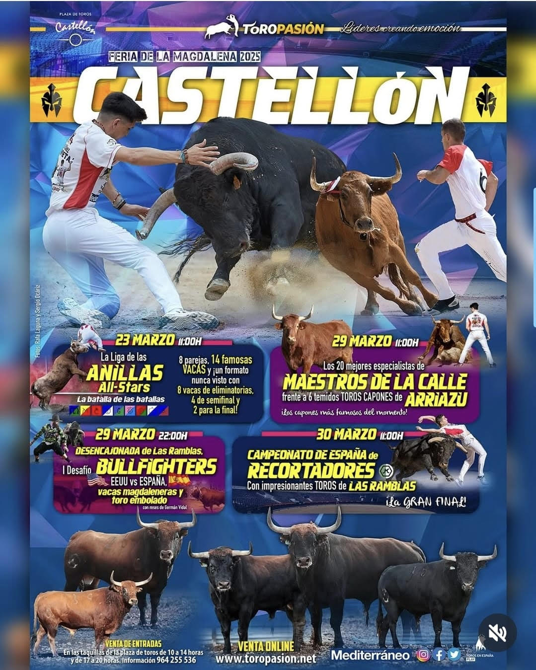 En toroshoy.com terminamos el primer trimestre del año 2025 con nuevos eventos. Próximo evento: TOROS CASTROGONZALO 13 MARZO 2025