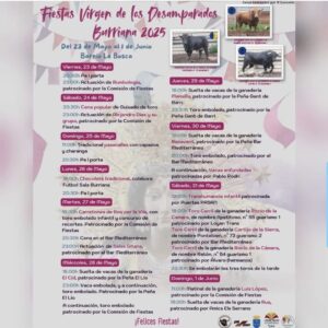 TOROS-FIESTA-VIRGEN-DE-LOS-DESAPARADOS-DEL-23-MAYO-AL-1-DE-JUNIO-2025