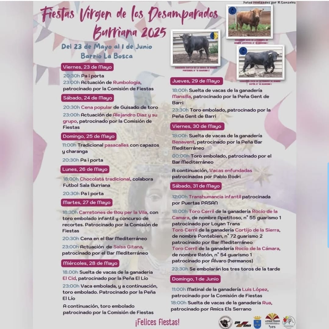 TOROS-FIESTA-VIRGEN-DE-LOS-DESAPARADOS-DEL-23-MAYO-AL-1-DE-JUNIO-2025