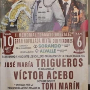 TOROS-PLAZA-DE-TOROS-ALCANTARILLA-10-MAYO-2025