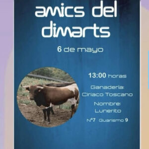 TOROS-AMICS-DEL-DIMART-6-MAYO-2025