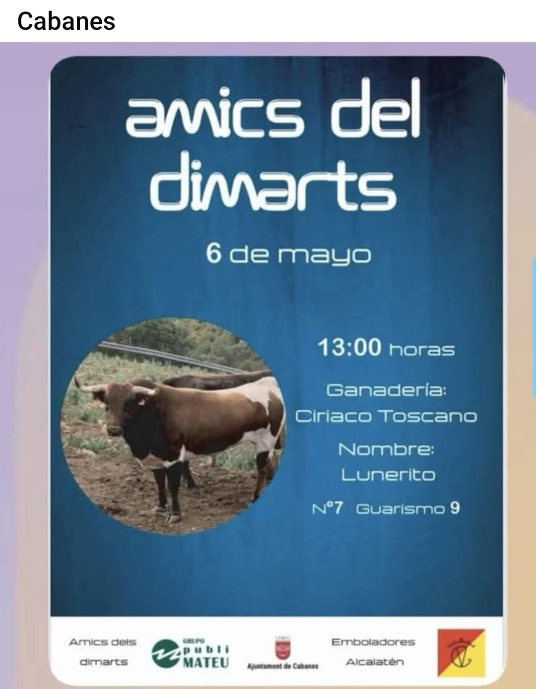 TOROS-AMICS-DEL-DIMART-6-MAYO-2025