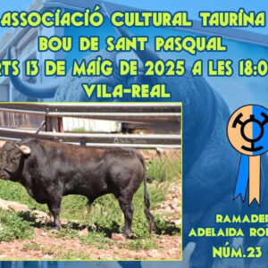 TOROS-BOU-SANT-PASCUAL-13-MAYO-2025