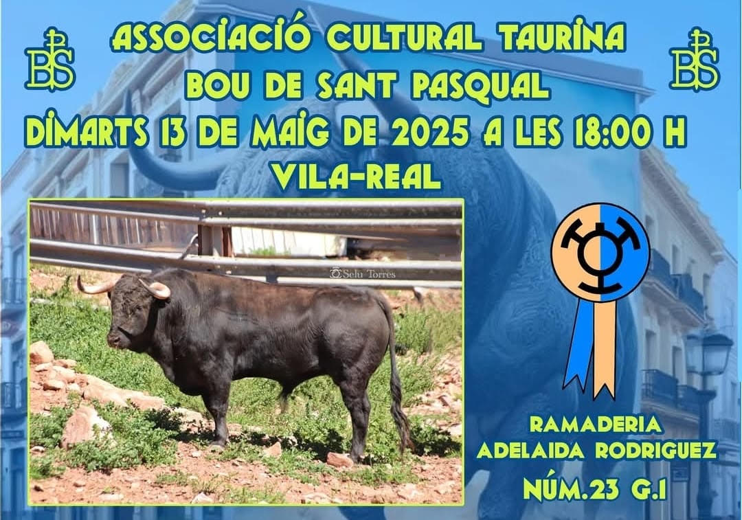 TOROS-BOU-SANT-PASCUAL-13-MAYO-2025