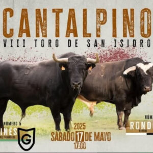 TOROS-CANTALPINO-17-MAYO-2025