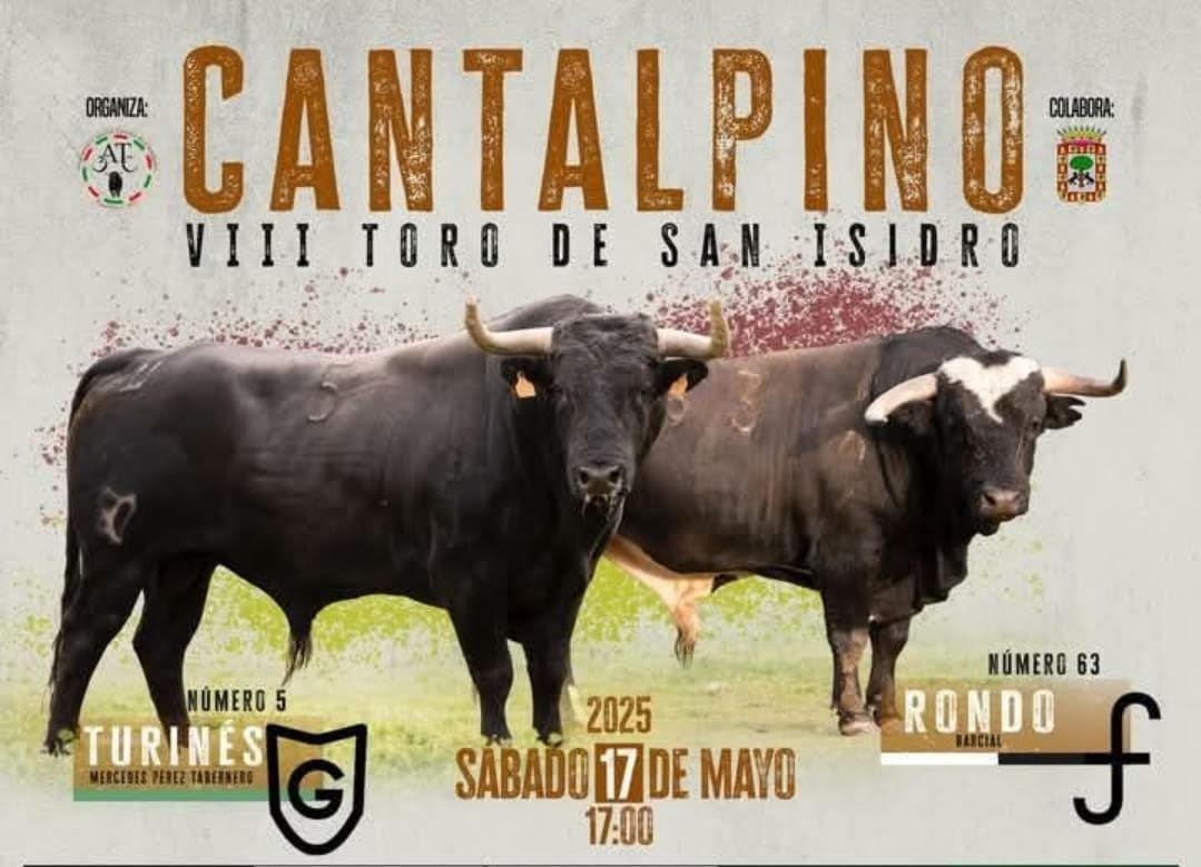 TOROS-CANTALPINO-17-MAYO-2025