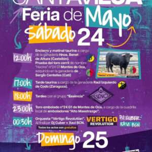 TOROS-CANTAVIEJA-24-MAYO-2025