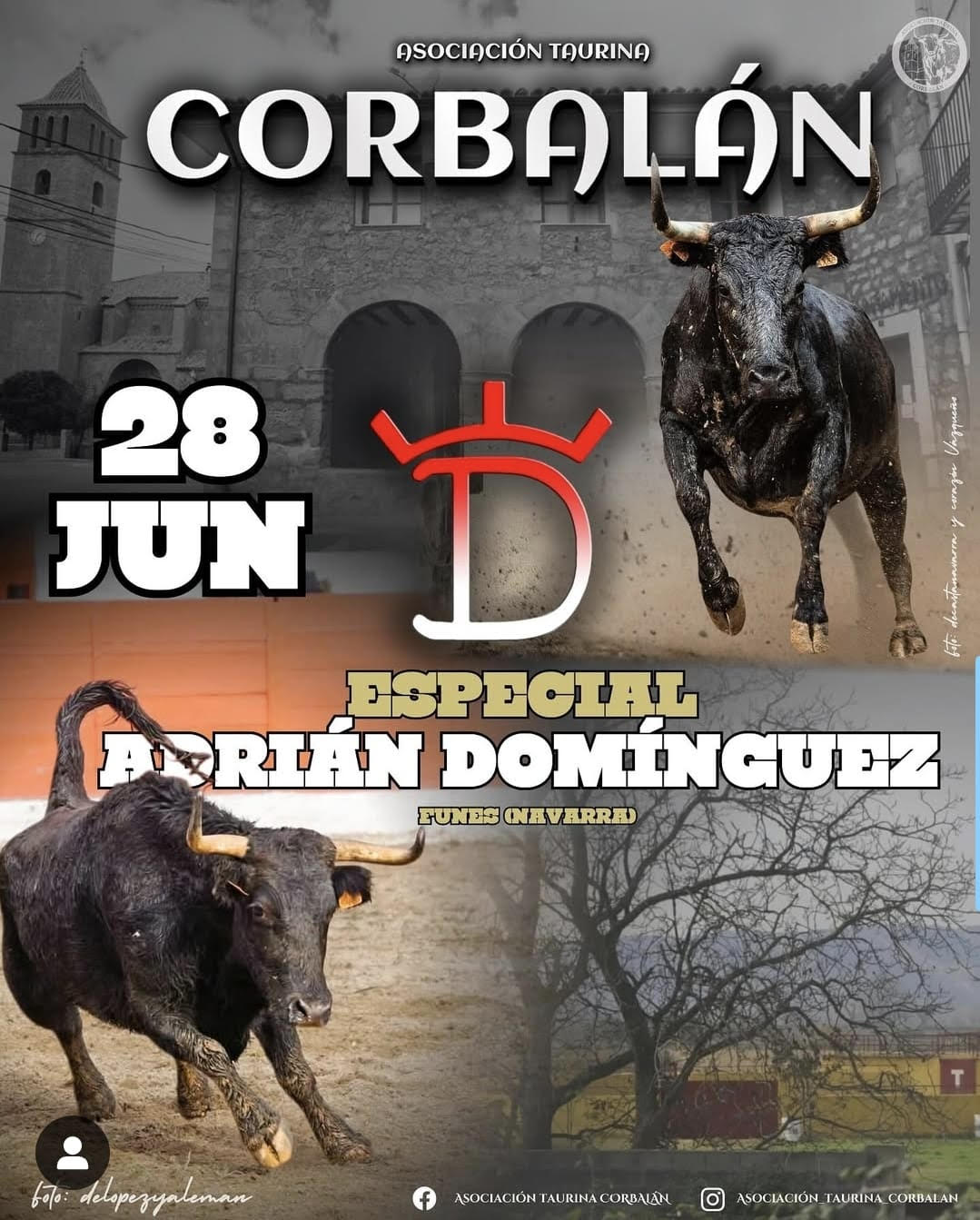 TOROS-CORBALAN-28-DE-JUNIO-2025