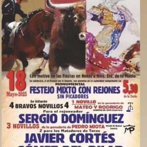 TOROS-CORRAL-DE-ALMAGUER-18-MAYO-2025