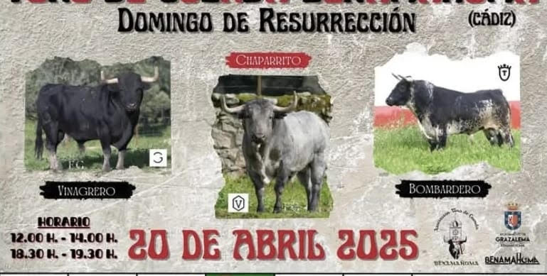 TOROS-DOMIGO-DE-RESURRECCION-20-ABRIL-2025