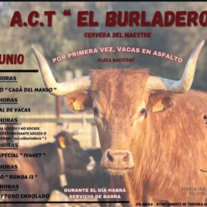 TOROS-EL-BURLADERO-14-JUNIO-2025