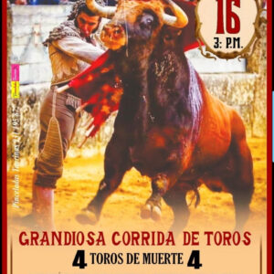 TOROS-EL-MOLINO-16-MAYO-2025