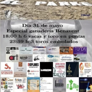 TOROS-EL-PARKE-31-MAYO-2025
