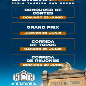 TOROS-FERIA-TAURINA-ZAMORA-26-JUNIO