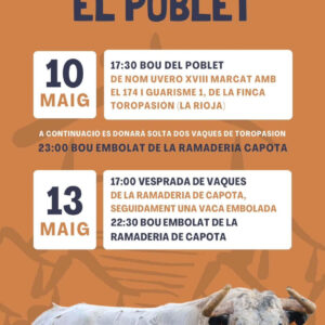 TOROS-FESTES-COLONIA-SEGARRA-13-MAYO-2025