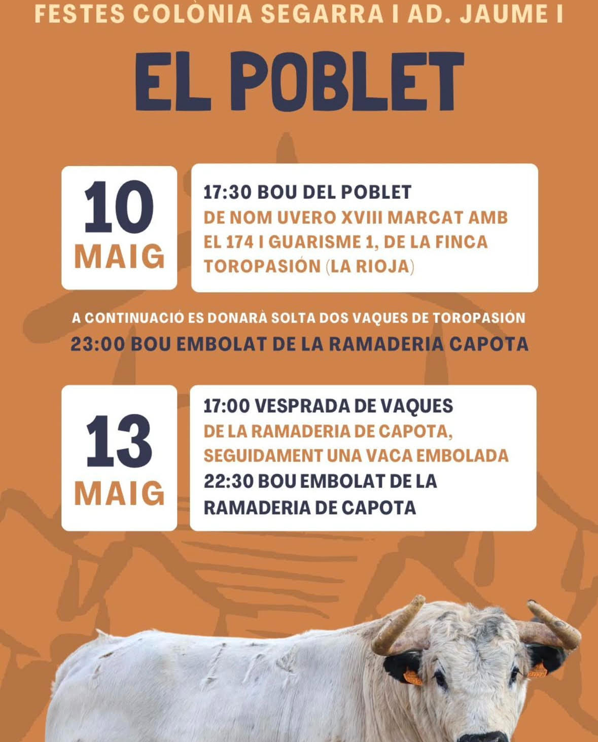 TOROS-FESTES-COLONIA-SEGARRA-13-MAYO-2025