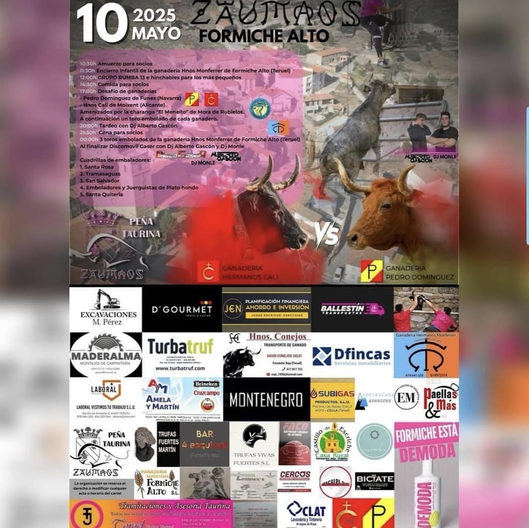 TOROS-FORMICHE-ALTO-10-MAYO-2025
