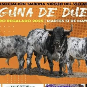 TOROS-LAGUNA-DEL-DUERO-13-MAYO-2025.